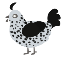A mist and black chicken with a speckle pattern