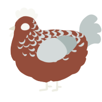 A russet and silver chicken with a half-lace pattern