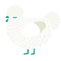 A white chicken with a lace pattern