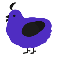 A indigo and sable chicken