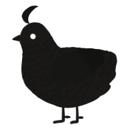 A sable and black chicken with a lace pattern