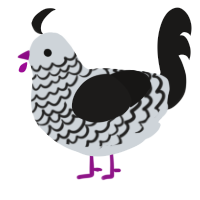 A mist and sable chicken with a lace pattern