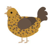 A gold and bark chicken with a speckle pattern