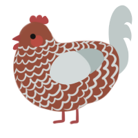 A russet and silver chicken with a lace pattern