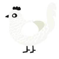 A white chicken with a lace pattern