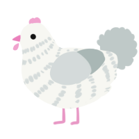A white and silver chicken with a bar pattern