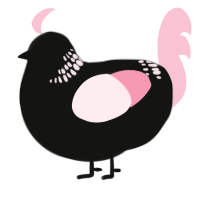 A black and rose chicken with a neck-band pattern