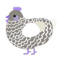 A ash and white chicken with a lace pattern