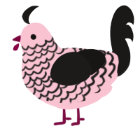 A rose and sable chicken with a lace pattern