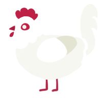 A white chicken with a head pattern