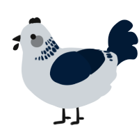 A mist and tumblr chicken with a neck-band pattern