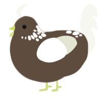 A bark and white chicken with a neck-speckle pattern