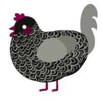 A black and ash chicken with a double-lace pattern