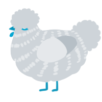 A mist chicken with a bar pattern