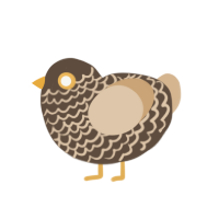 A bark and beige chicken with a lace pattern