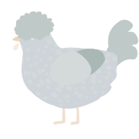 A mist and silver chicken with a speckle pattern