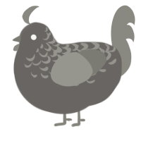 A grey and ash chicken with a half-lace pattern