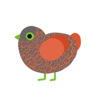 Asher, a grey and vermilion chicken with a double-lace pattern