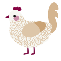 A white and beige chicken with a double-lace pattern