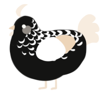 A black and cream chicken with a half-lace pattern