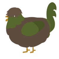 A bark and olive chicken with a head pattern