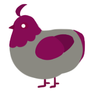 Plump Plum, a ash and wine chicken with a head pattern