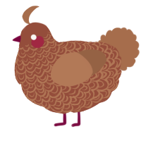 A russet and brown chicken with a double-lace pattern