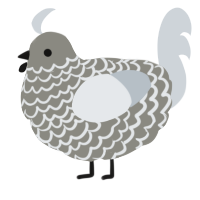 A ash and mist chicken with a lace pattern