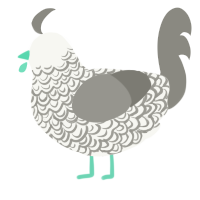 A white and ash chicken with a double-lace pattern