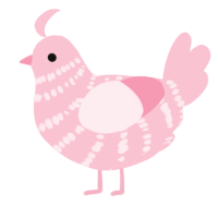 A rose chicken with a bar pattern