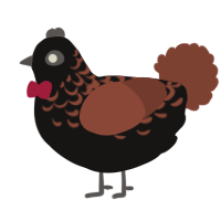 A sable and russet chicken with a half-lace pattern