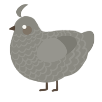 A ash chicken with a lace pattern