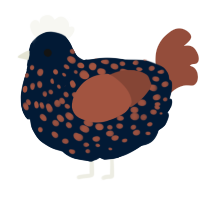 A tumblr and russet chicken with a speckle pattern