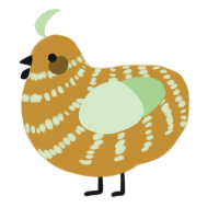 A gold and gluppy chicken with a bar pattern