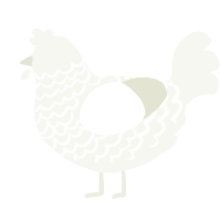 A white chicken with a lace pattern