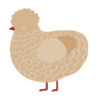 A beige chicken with a lace pattern
