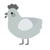 A silver and mist chicken