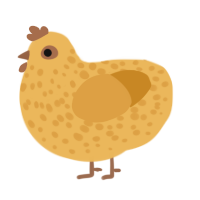 A honey and orange chicken with a speckle pattern