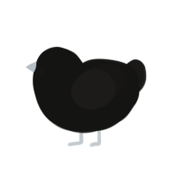 Crow, a black and sable chicken