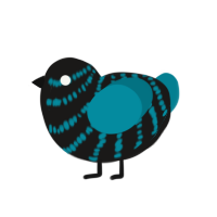 Rave, a sable and sea chicken with a bar pattern