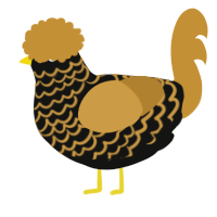 A black and gold chicken with a lace pattern