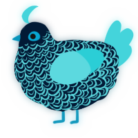 A tumblr and aqua chicken with a double-lace pattern