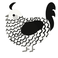 A white and black chicken with a lace pattern