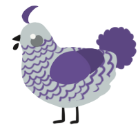 A silver and overcast chicken with a lace pattern