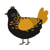 A sable and ochre chicken with a half-lace pattern