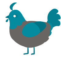 A grey and sea chicken with a head pattern