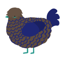 A bark and navy chicken with a lace pattern