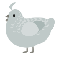 A silver chicken with a half-lace pattern
