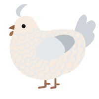 A cream and mist chicken with a lace pattern