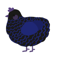 A sable and navy chicken with a lace pattern